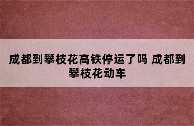 成都到攀枝花高铁停运了吗 成都到攀枝花动车